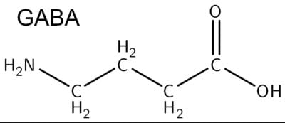 GABA