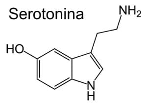 serotonina