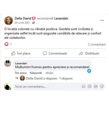 Recenzie David Delia