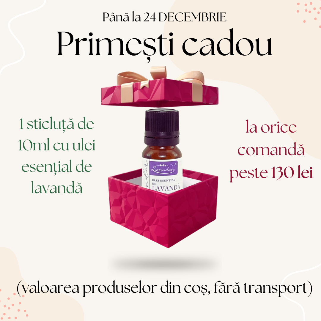 Primești cadou (1) cadou_24_decembrie